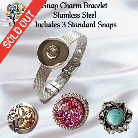 Dragonfly Spirit Designs Jewelry - Snap Charm Bracelet Stainless Steel Includes 3 Standard Size Snaps Shown Adjusta